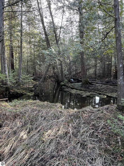 3836 Whitmarsh Rd, Vanderbilt, MI 49795 photo 69
