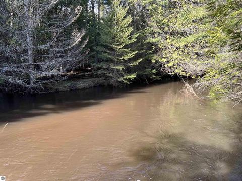 3836 Whitmarsh Rd, Vanderbilt, MI 49795 photo 70