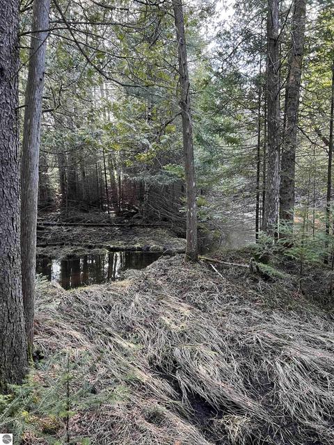 3836 Whitmarsh Rd, Vanderbilt, MI 49795 photo 68