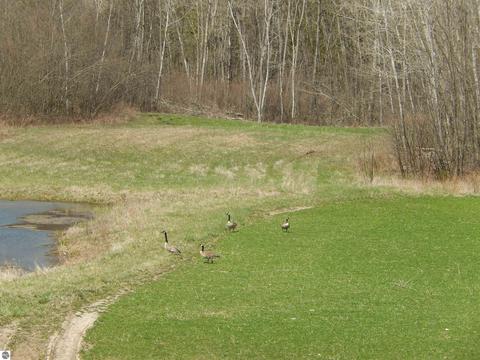 5126 Ziemer Rd, Gladwin, MI 48624 photo 58