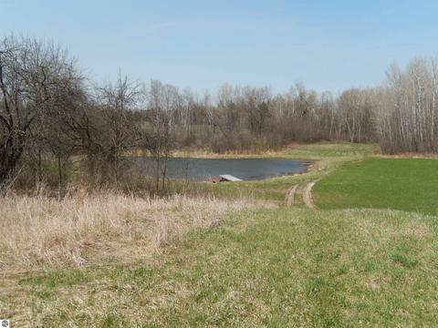 5126 Ziemer Rd, Gladwin, MI 48624 photo 59