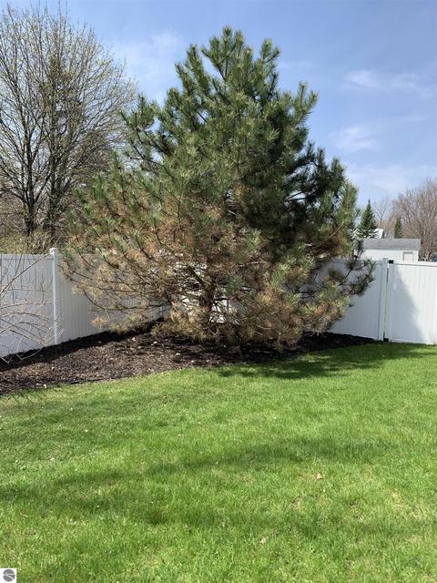 514 E Hillcrest, Alma, MI 48801 photo 40