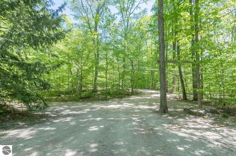 2757 E Sugar Maple Dr, Cedar, MI 49621 photo 2