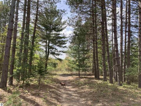 763 Sensabaugh Rd, Lupton, MI 48635 photo 23