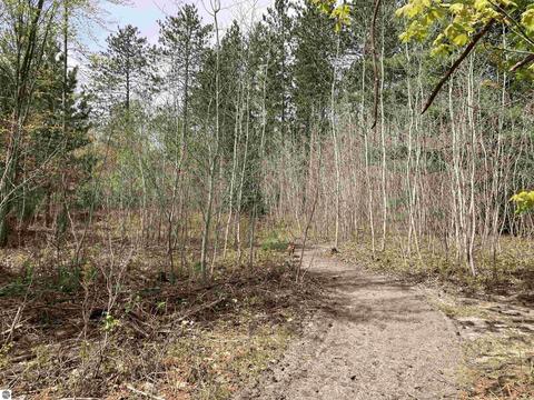 763 Sensabaugh Rd, Lupton, MI 48635 photo 24