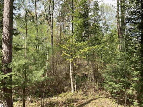 763 Sensabaugh Rd, Lupton, MI 48635 photo 29