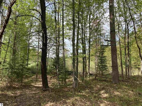 763 Sensabaugh Rd, Lupton, MI 48635 photo 32