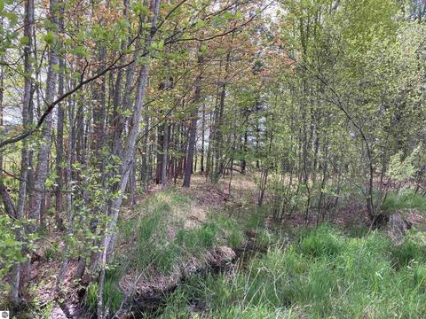 763 Sensabaugh Rd, Lupton, MI 48635 photo 33