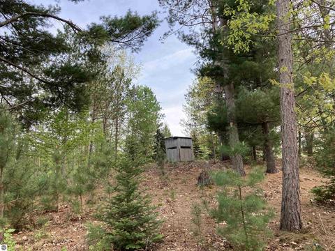 763 Sensabaugh Rd, Lupton, MI 48635 photo 35
