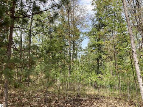 763 Sensabaugh Rd, Lupton, MI 48635 photo 18