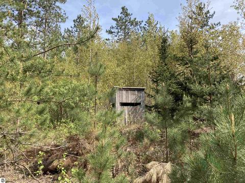 763 Sensabaugh Rd, Lupton, MI 48635 photo 37