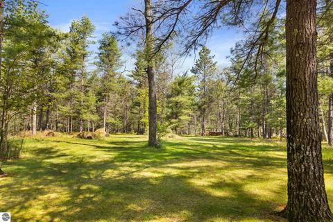 1779 Schmidt Trl, Grayling, MI 49738 photo 39