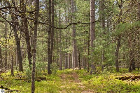 1779 Schmidt Trl, Grayling, MI 49738 photo 48