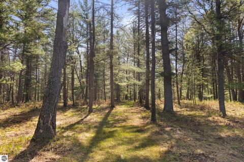 1779 Schmidt Trl, Grayling, MI 49738 photo 43