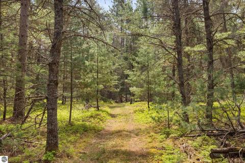 1779 Schmidt Trl, Grayling, MI 49738 photo 46