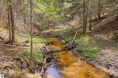 1779 Schmidt Trl, Grayling, MI 49738 photo 3