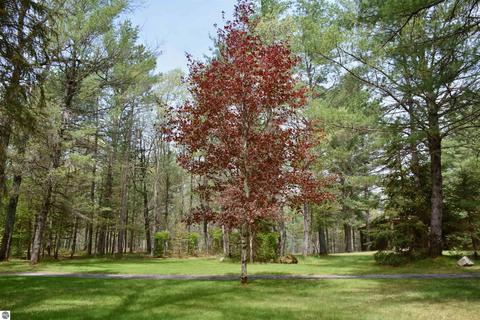 1779 Schmidt Trl, Grayling, MI 49738 photo 53