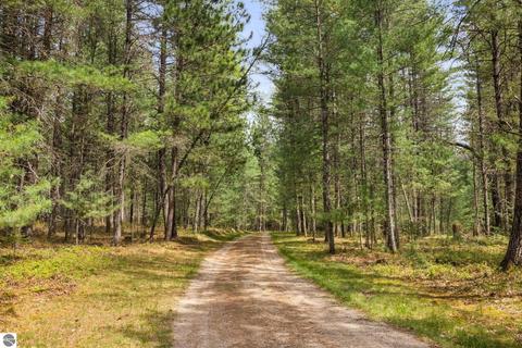 1779 Schmidt Trl, Grayling, MI 49738 photo 52