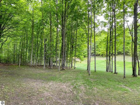 4941 S Green Ct, Cedar, MI 49621 photo 60