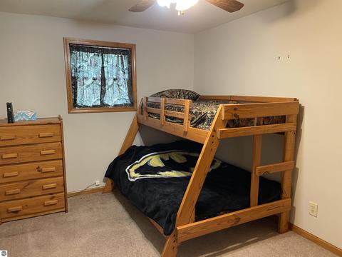 8800 Davy Dr, Hale, MI 48739 photo 24
