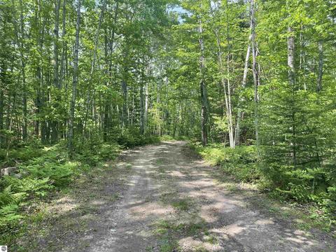 8800 Davy Dr, Hale, MI 48739 photo 3