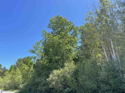 3809 E City Limits Rd, Standish, MI 48658 photo 10