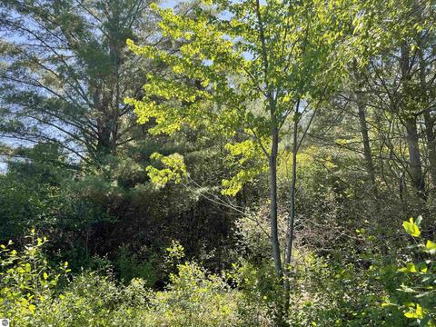 3809 E City Limits Rd, Standish, MI 48658 photo 5