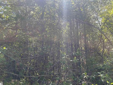 3809 E City Limits Rd, Standish, MI 48658 photo 7