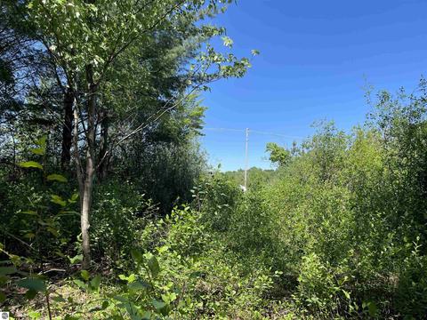 3809 E City Limits Rd, Standish, MI 48658 photo 8