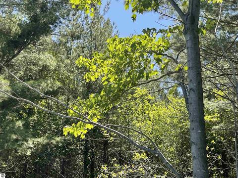 3809 E City Limits Rd, Standish, MI 48658 photo 6