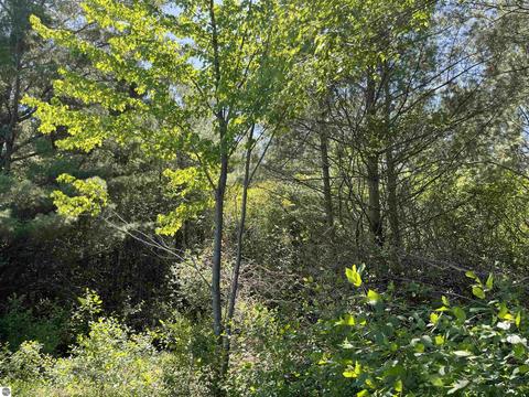 3809 E City Limits Rd, Standish, MI 48658 photo 4