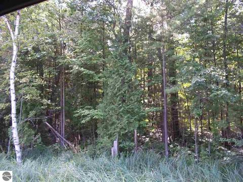 00 N Baldwin Resort Rd, East Tawas, MI 48730
