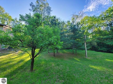 20366 Pole Rd, Brethren, MI 49619 photo 29