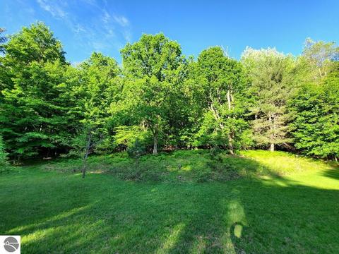 20366 Pole Rd, Brethren, MI 49619 photo 27