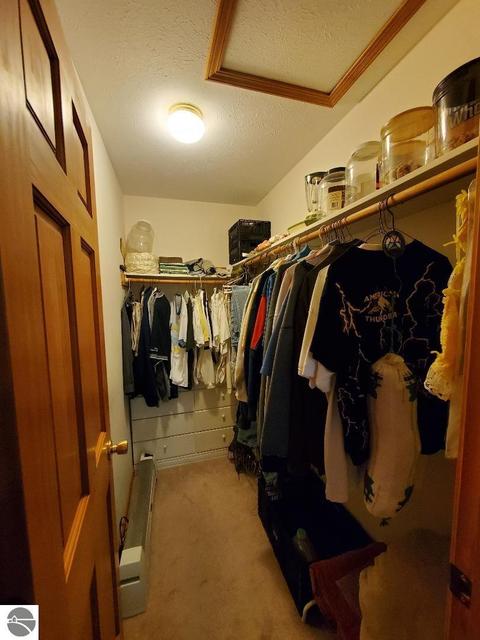 20366 Pole Rd, Brethren, MI 49619 photo 15