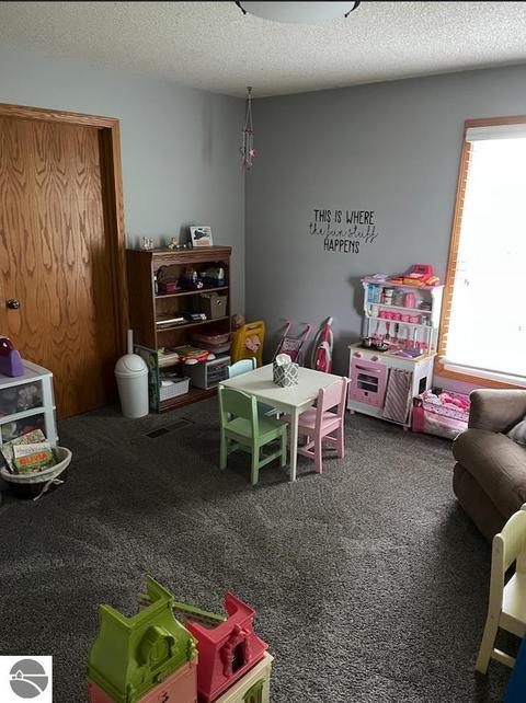 10508 E Millbrook Rd, Shepherd, MI 48883 photo 7