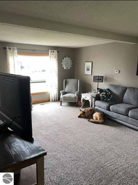 10508 E Millbrook Rd, Shepherd, MI 48883 photo 3