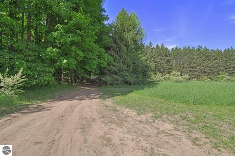 2091 W 18 Rd, Mesick, MI 49668 photo 7