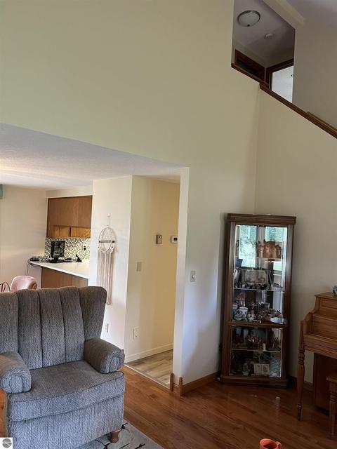 4271 Riverview Dr, Alma, MI 48801 photo 9