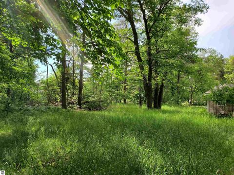 6161 Libby St, Grayling, MI 49738 photo 19