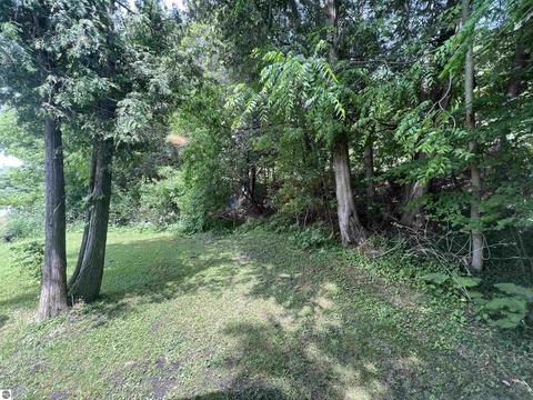 10780 Deadstream Rd, Honor, MI 49640 photo 14