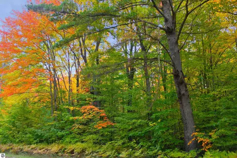 0000 NE Shore Dr, Kalkaska, MI 49646