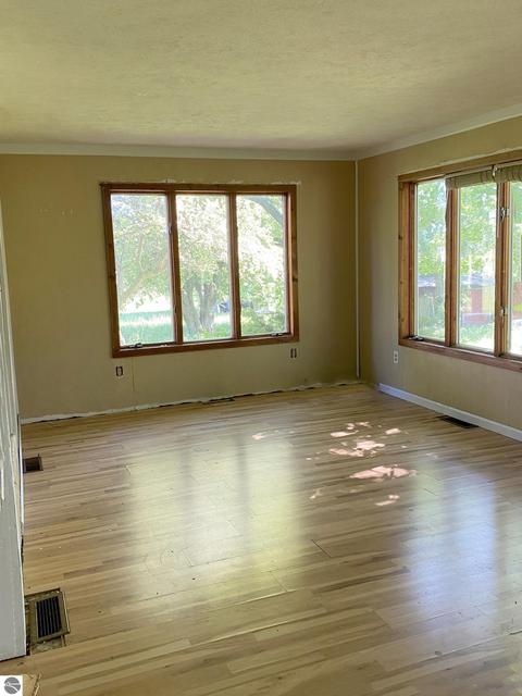 4205 Hamlin Rd, Grawn, MI 49637 photo 9