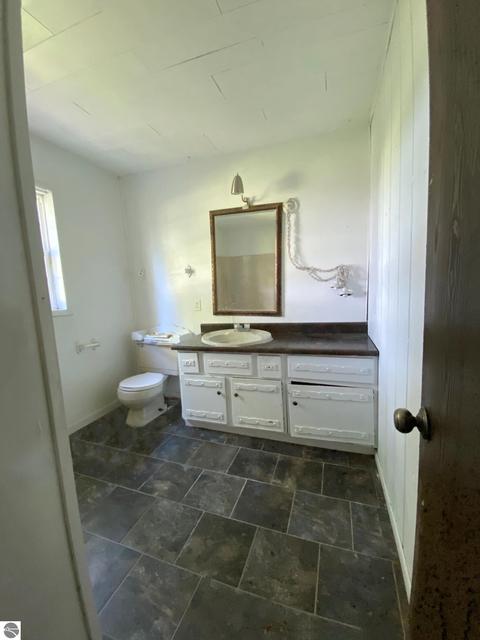4205 Hamlin Rd, Grawn, MI 49637 photo 14