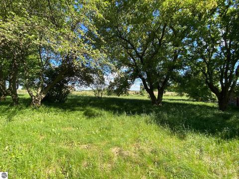 4205 Hamlin Rd, Grawn, MI 49637 photo 5