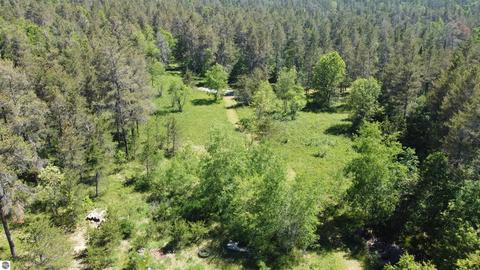 1118 E M 72, Grayling, MI 49738 photo 30