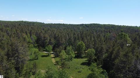 1118 E M 72, Grayling, MI 49738 photo 31