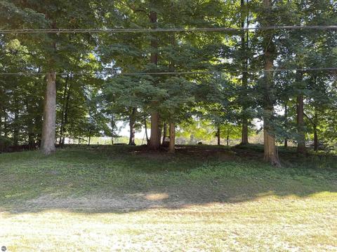 2101 E Rock Rd, Clare, MI 48617 photo 54