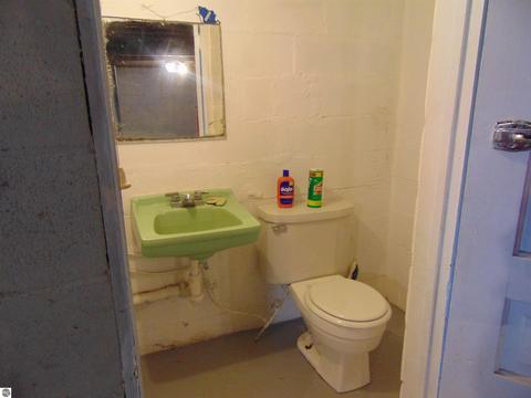 631 E North St, Ithaca, MI 48847 photo 43