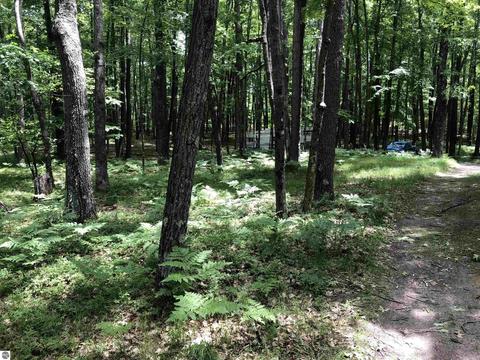 00 Oak Run, Farwell, MI 48622